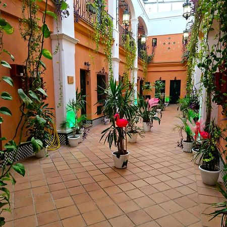 Alojamiento Rural Flamingo El Rocío Kültér fotó