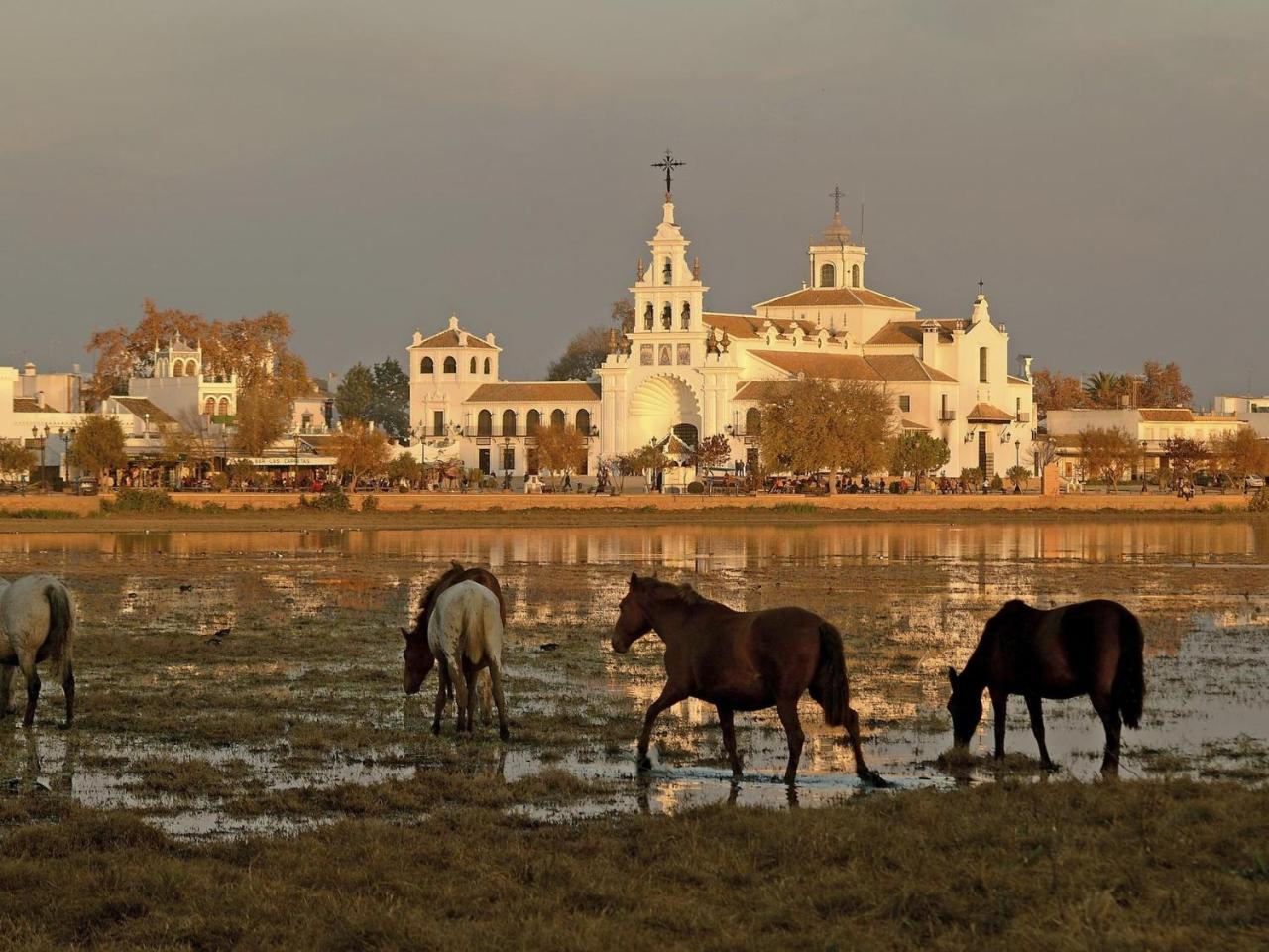 Alojamiento Rural Flamingo El Rocío Kültér fotó